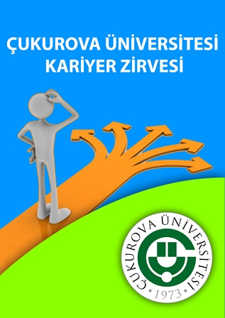 .. Kariyer Zirvesi